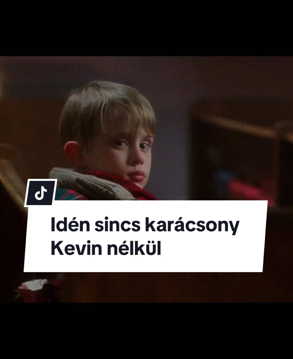 Idén sincs karácsony Kevin nélkül! #NAV #karácsony #kevin #reszkessetekbetörők #adóváltozások #merrychristmas #fyp #nekedbe 