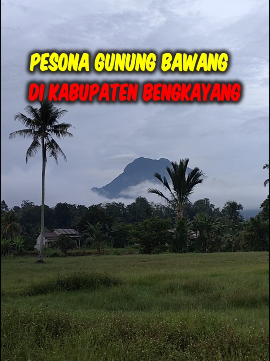 Gunung tertinggi di Kabupaten Bengkayang. #pageforyou #gunung #mountain #gunungbawang #bengkayang #kalbar #Pride #dayak #borneo 