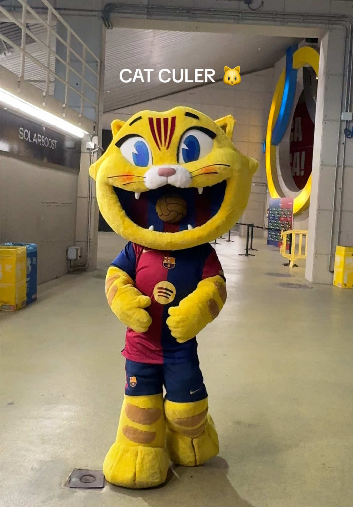 meet…. CAT CULER 🐱🤍✨  #barcelona #barcelonacity #barcelonaguide #barcelonacampnou #championsleague #catculer #barcelonafootball #fcb #forcabarca #viscaelbarca #fcbarcelona #culers