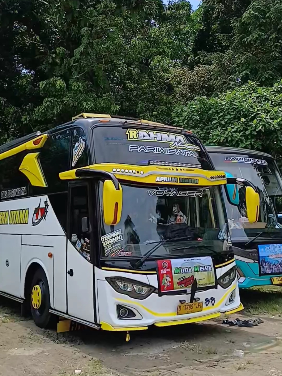 Sabodoteingg ... #vidiobus #busviral #buspariwisata #busbasuriviral #teloletbasuri #fyp 