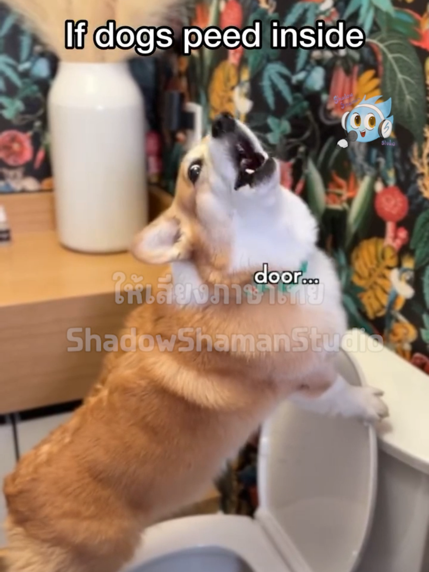 คอร์กี้ฉี่ในบ้าน #corgi #คอร์กี้ #หมาน่ารัก #dog #พากย์ไทย #shadowshamanstudio #funny #fyp