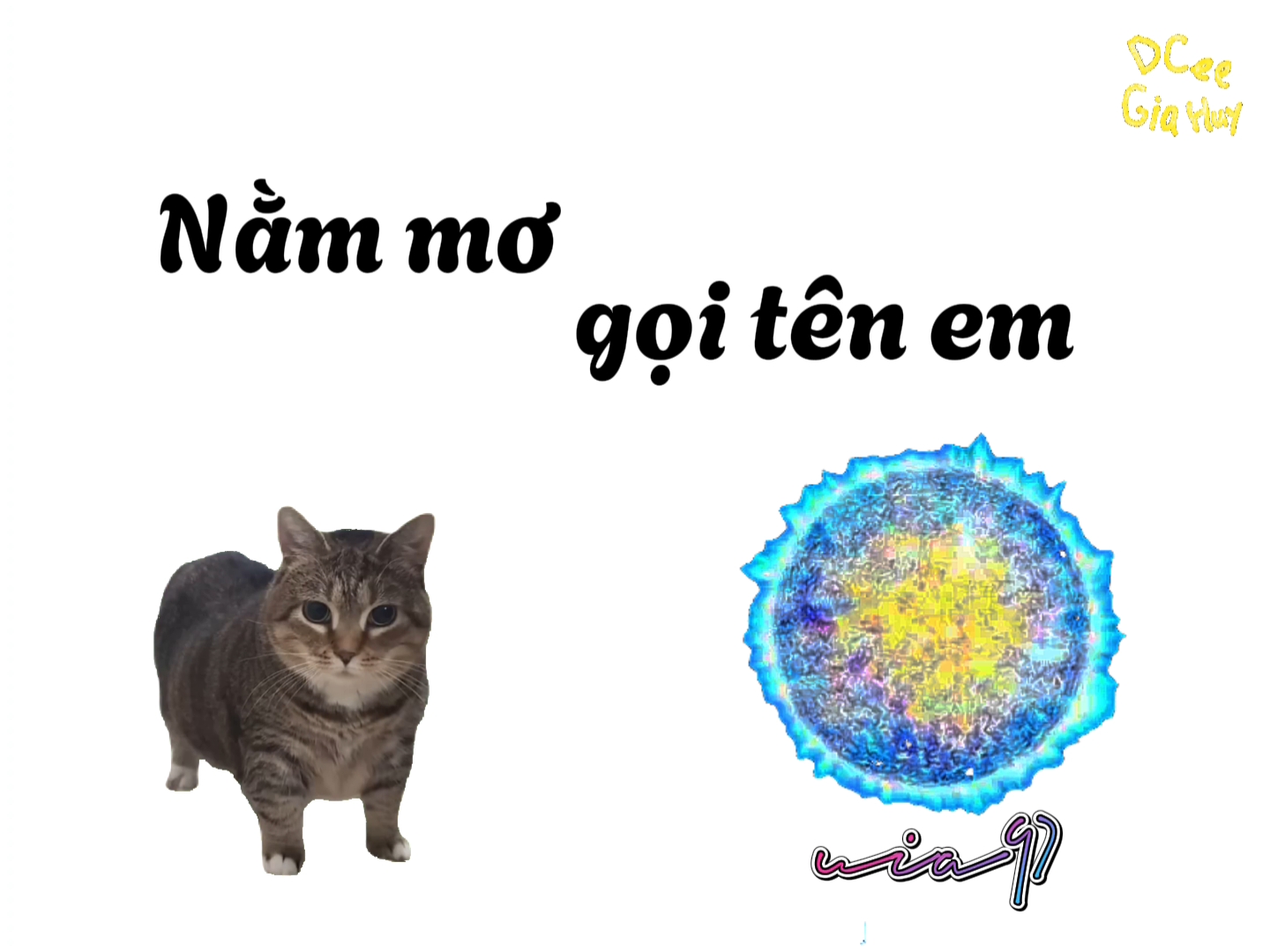 u í ơi! #uia #cats #thienlyoi #vitinhtu #dceegiahuy #fyp 