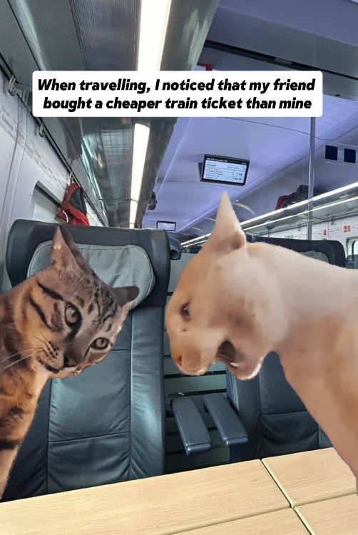 Read the comments? #foryoupage #yp #travel #trainpal #budget #moneysavingtips #railcard #promocode #meme 