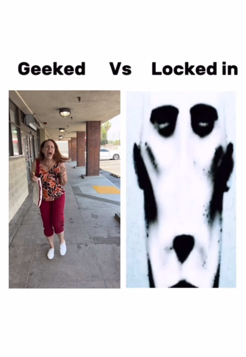 The last meme in this year 😭? #schizoposting #fyp #viral #geeked #vs #lockedin #lastmeme @𒀱࿇༲࿆༫࿆࿂࿆༗𒀱