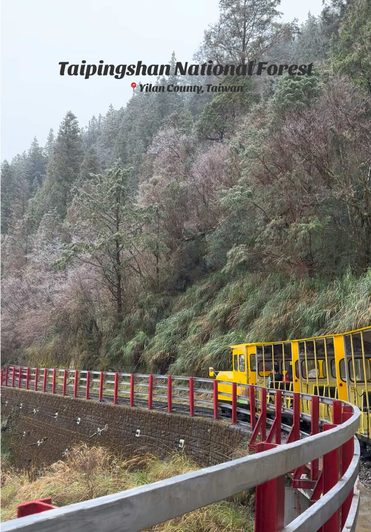 Winter in Taiwan 🇹🇼 It was 0° when we went to Taipingshan last December 19, 2024. Ice frost come into view. Experienced eating eggs & corns boiled in hotsprings with ~100° temperature.  Booked through Klook. Use my referral code to get discount!  Referral Code: D7H7QH 📍Taipingshan National Forest, Yilan County, Taiwan #taipingshan  #yilan  #taiwan  #winter  #winterintaiwan  #taipingshannationalforestrecreationarea  #bongbongtrain  #hotsprings  #jiuzhizehotspring 