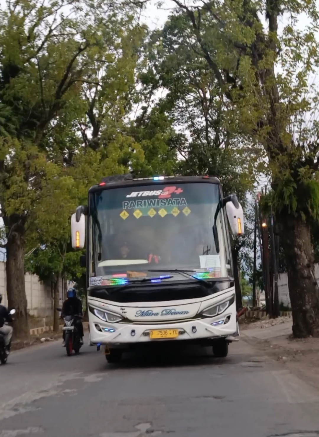 BASURI MENGULAR OLD ALA RAHMA NURSYIFA BUS MITRA DEWAN #bus #busmania #basuriold #mengular #rahmanursyifa  #busmaniacommunity #basuri #basurihorn #basuriv3 #fyp #fypシ #fypシ゚viral #bismillahfyp #busmaniaindonesia #trend #trending #trendingvideo #storybus #storywa #fyp #foryoupage #4u #xybca #masukberanda #bismilahrame