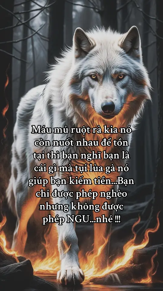 Lùa gà,giúp kiếm tiền,làm nhiệm vụ,abc các kiểu báo chí đăng cảnh báo suốt mà mỗi ngày vẫn có nạn nhân..😔  #fyp #xh #xuhuongtiktok #trending #baihoccuocsong #cuocsong 