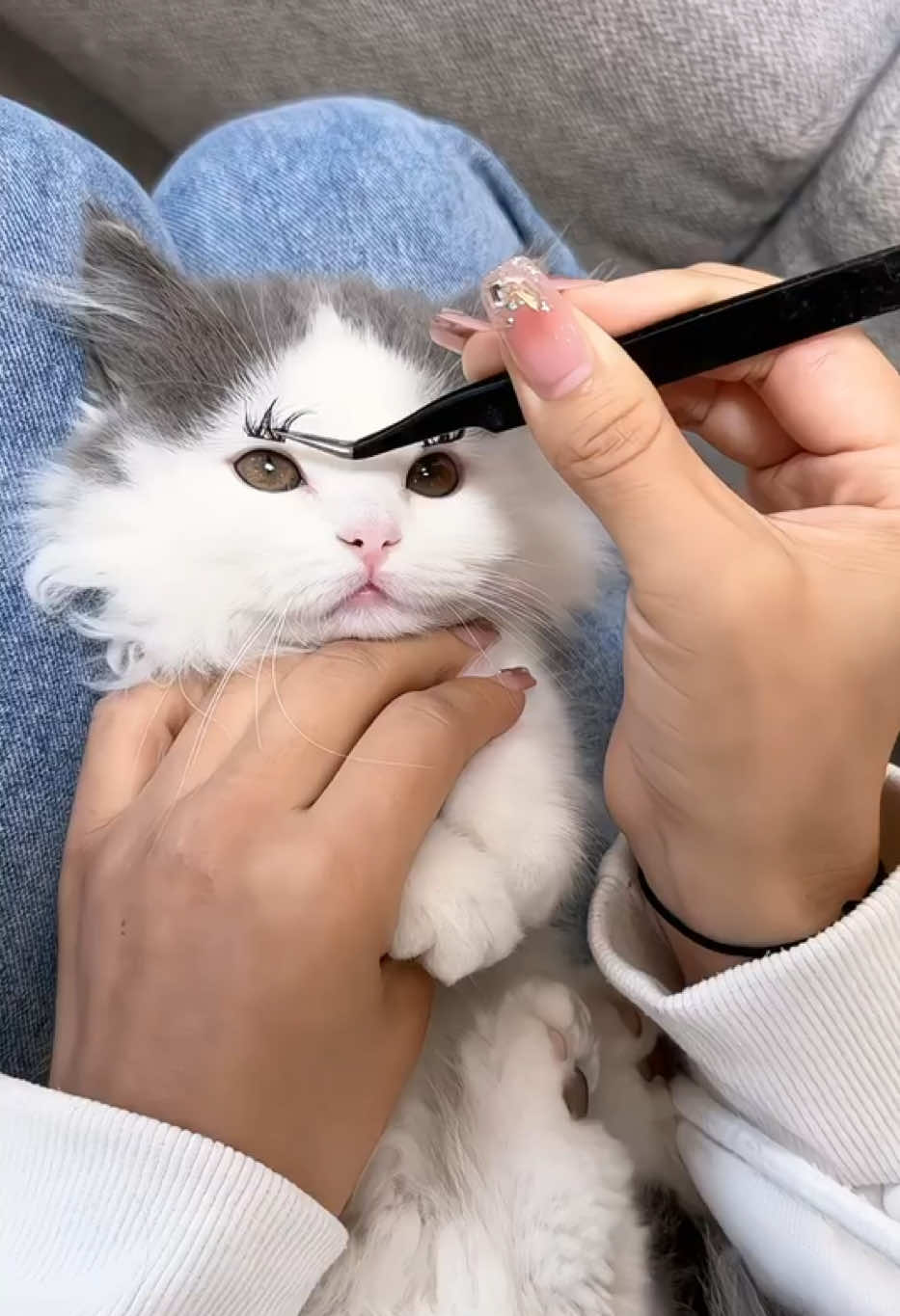 Mèo dễ thương 😘 #cutecat #mèodễthương #makeup