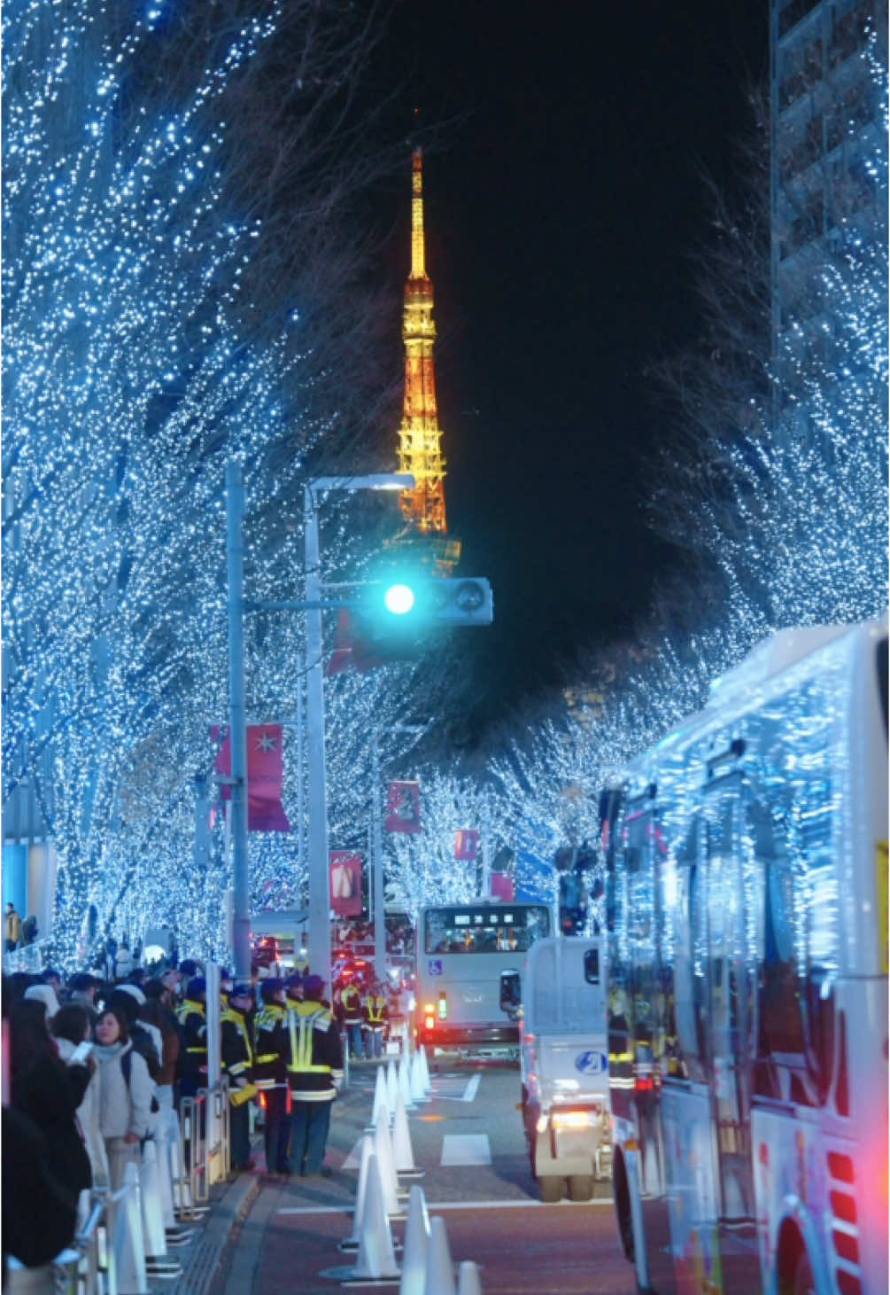 Winter in Tokyo🗼❄️ 📍けやき坂イルミネーション Keyakizaka Illumination 2024 Tokyo Japan #japan #tokyo #illumination #winter #christmas #けやき坂イルミネーション #東京 #クリスマス