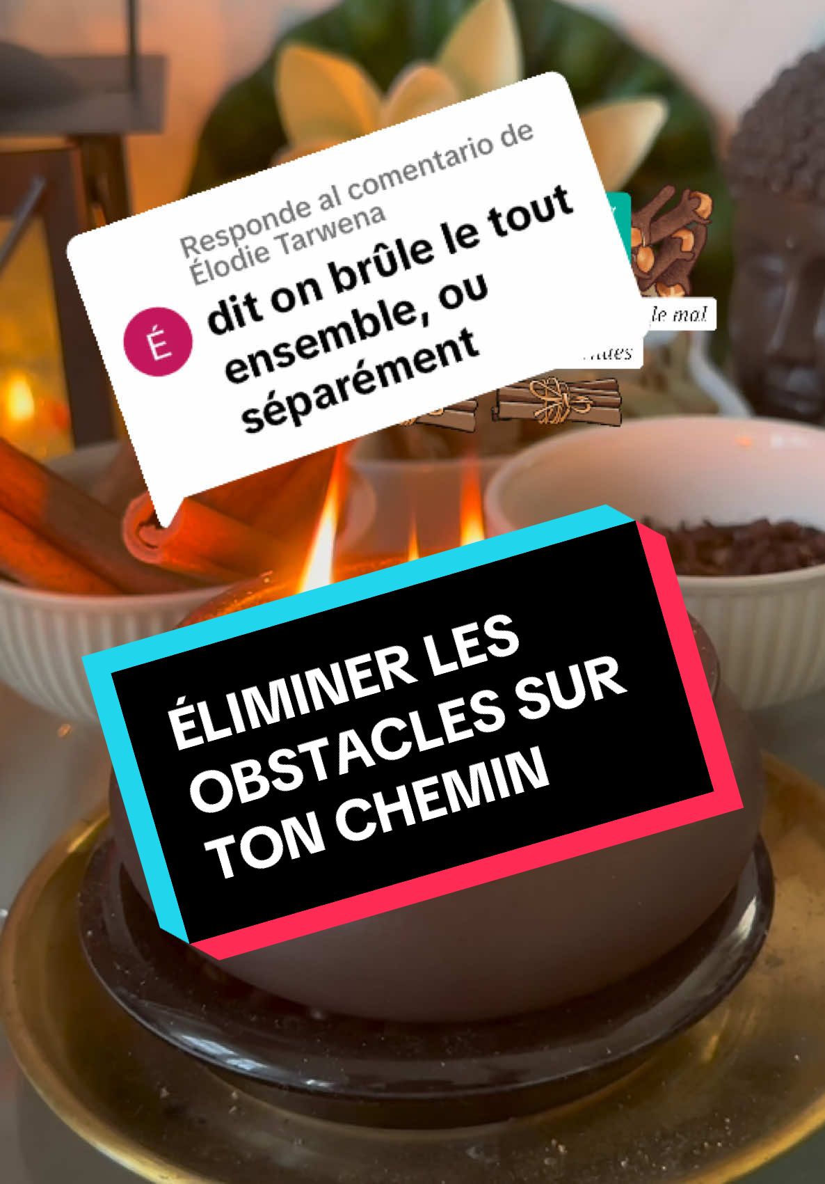 Respuesta a @Élodie Tarwena Les pouvoirs spirituels des plantes/ ingrédients #plante #abondance #change #etatsunis #france #amour #afrique #lucky #cinnamon #Love #drakafelix🍀 #france #usa🇺🇸 #suisse🇨🇭 #italy #norvege #monaco 