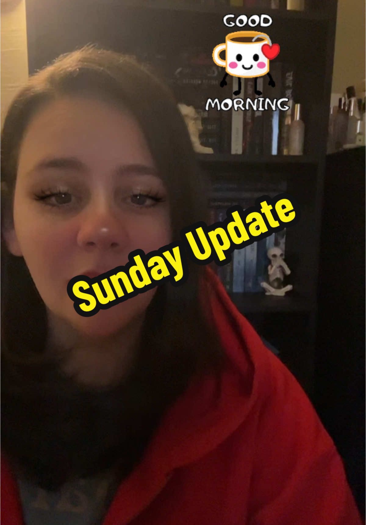 Holiday weekend Sunday Update!! #BookTok #booktokfyp #fyp #booktoker #spicybooktok📚 #reader #readersoftiktok #bookworm #bookish #bookrecs #audiobooks #holidayreads #bookreview #bookbesties #weeklyupdate #readingupdate 