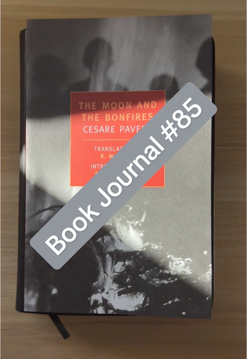 A 4⭐️ read. Translated fiction about class and loss is so Julia 😌 🏷️ #willowbiblio #BookTok #bookish #bookjournal #readingjournal #bookreview #bookrecommendations #cesarepavese #themoonandthebonfires #translatedfiction #booklist 