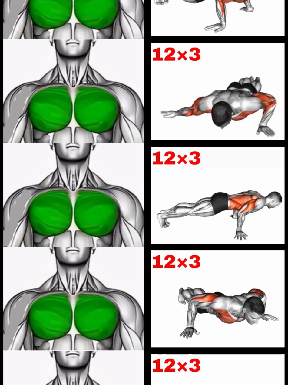 CHEST WORKOUT AT HOME.#chestworkout #workout #homeworkout #Fitness #sports #fyq @Sports boy @Sports boy @Sports boy @HOMEWORKOUT 