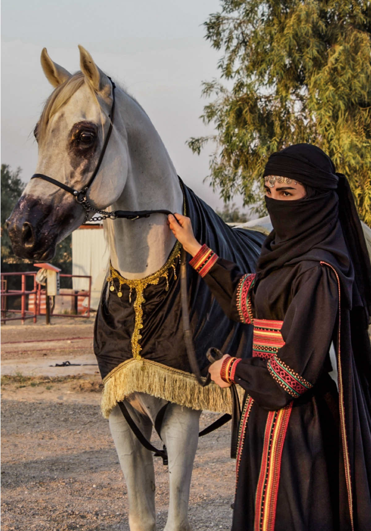 جلسة التصوير بيد المبدعه زهراء سلمت ايدك 📸🫶🏻 ..  تبارك الرحمن .. // لطلب عبايات الفروسية الرابط موجود في البايو  #ماشاءالله_تبارك_الله_اذكروا_الله #خيل_وخياله🐎 #خيل_عربي_اصيل #اكاديمية_العز #فارسات_سعوديات #خيل_عربي #فارسات_المنتخب_السعودي #عبايات_فروسية #لبس_فروسية  #الشرقية #الدمام #الخبر #بقيق #اكسبلورexplore  طلعوه