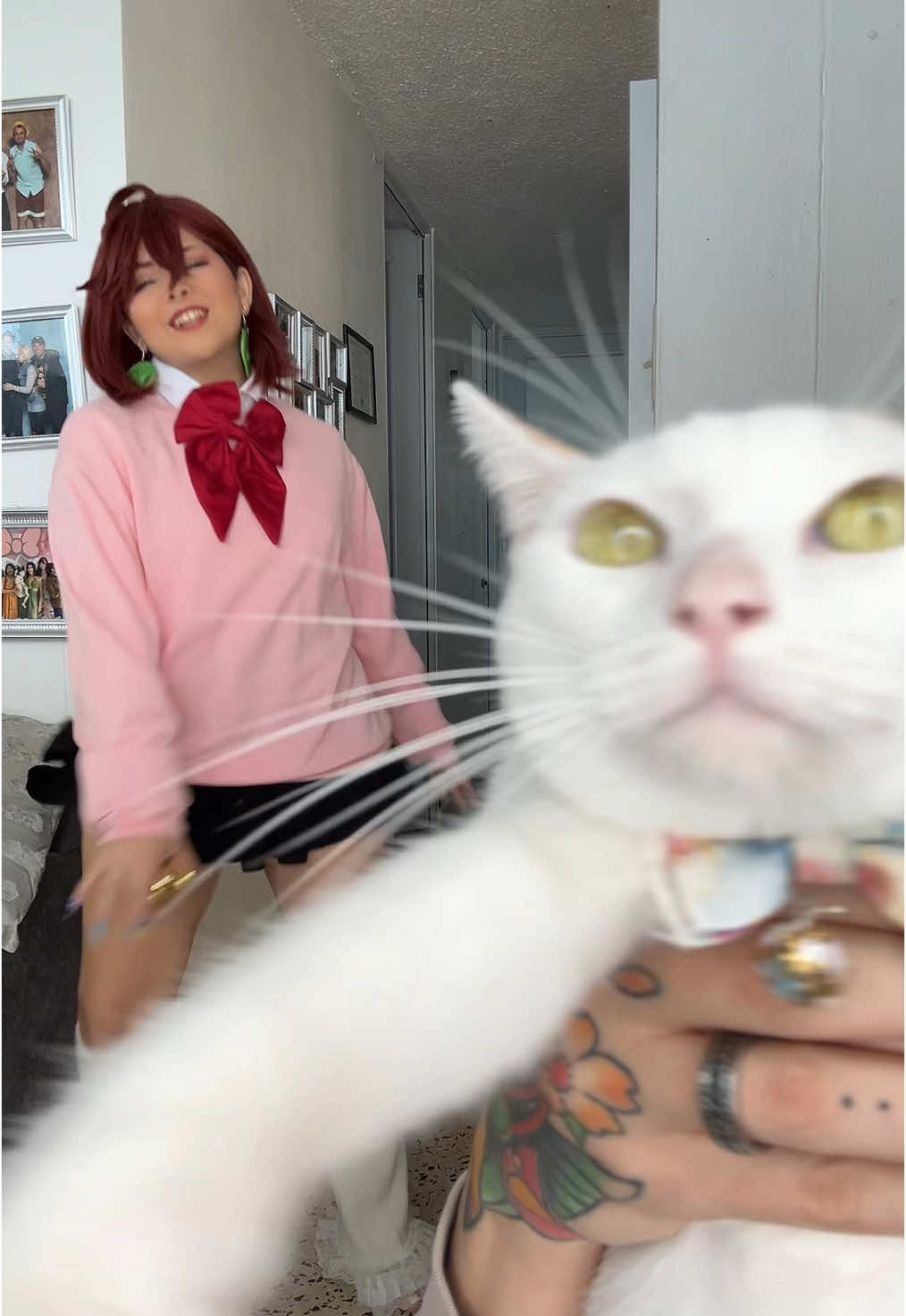 I HATE THAT THE SONG GOT CUT OFF 😔 #catsoftiktok #lalala #samsmith #momoayase #turbogranny #dandadan 