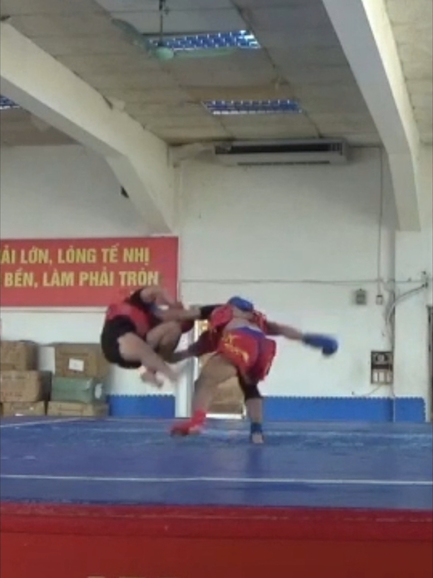 nghệ thuật trong võ thuật wushu sanda #sanda #vothuat #judo #wushu