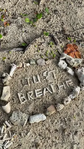 A reminder to “Just Breathe” this holiday season. #stthomas #sapphirebeach #usvirginislands #americasparadise #justbreathe #asmr #oceanwaves #paradise #photographer