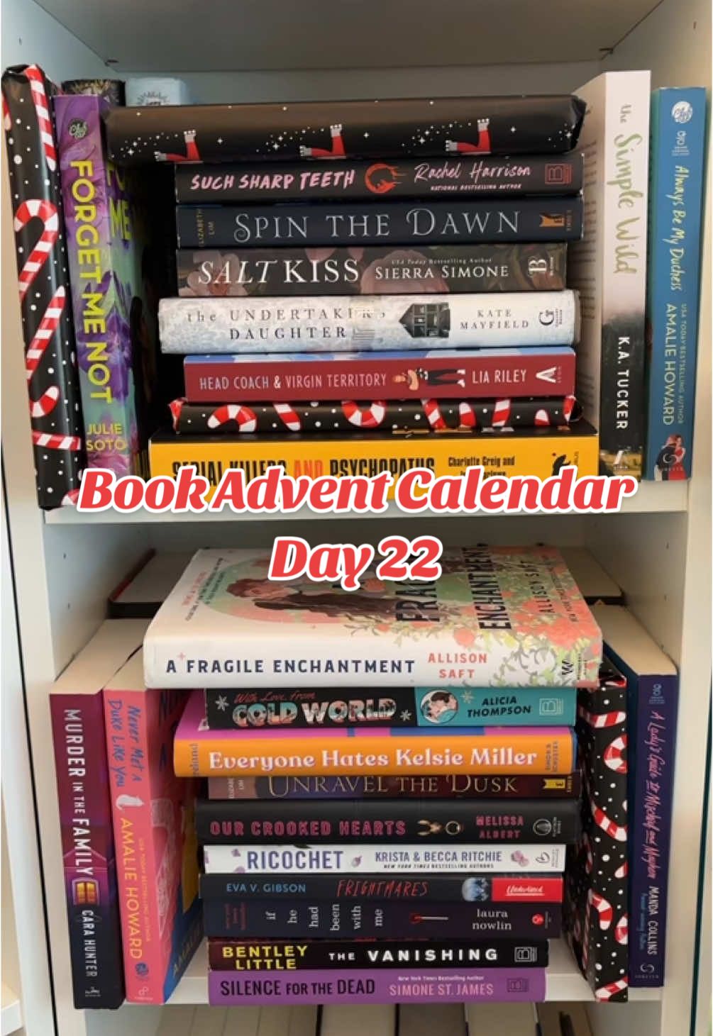 Love this author! @sav 🎱 #BookTok #bookadventcalendar #bookswap #bookexchange #adventcalendar #bookadventcalenderday22 #adventcalendarday22 #thehaunting #natashapreston 