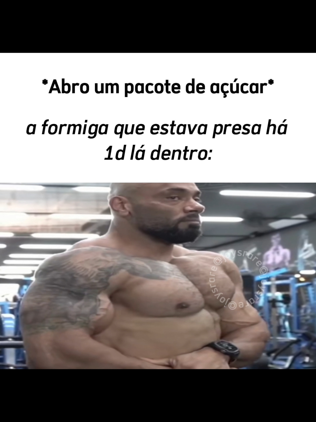 💪🐜 #vaiprofy #naoflopaporfavor #foryoupagee #formiga #formigas #acucar #açucar #juliobalestrin #juliao 