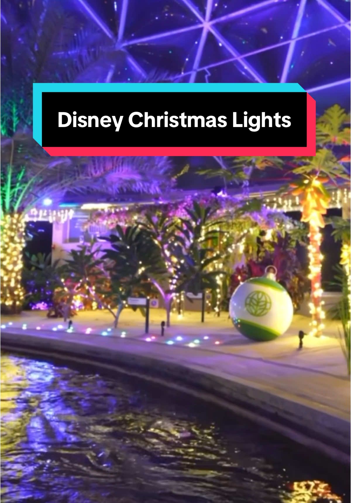 Christmas and Chill Out with the Lights on Living With the Land Glimmering Greenhouses at Epcot. #livingwiththeland #lwtl #glimmeringgreenhouses #epcot #disneychristmas #walruscarp 