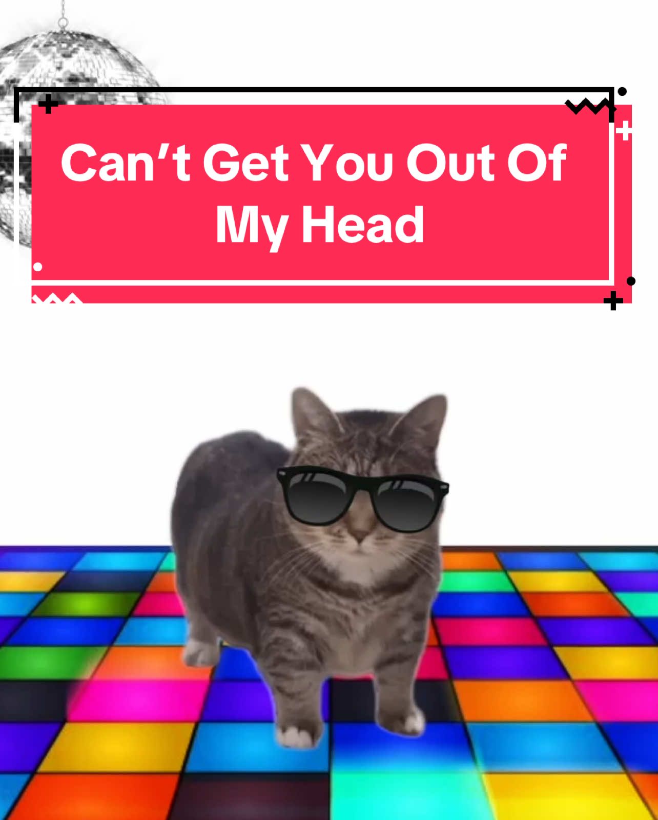 OIA cat sings can’t get you out of my head! #cats #catsoftiktok 