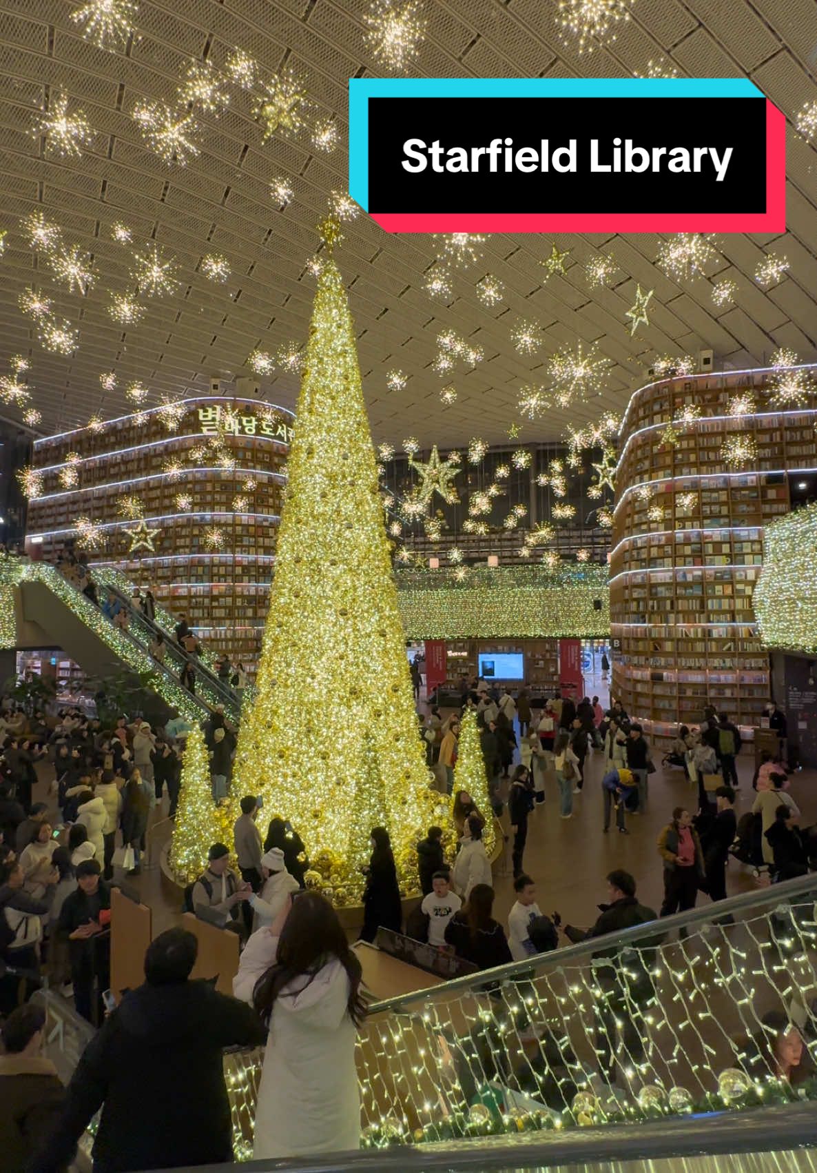 Starfield Library - South Korea 🇰🇷 #southkorea #seoul #coex #starfieldlibrary #christmas #coexmall #seoulkorea 