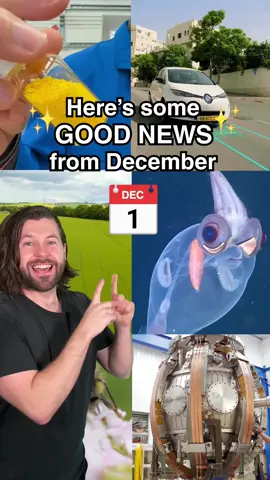 Some of the best news from December you may have missed! #fyp #foryou #goodnews #sustainableliving #conservation #newstiktok 