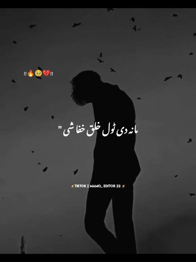 Ma na de tool khalaq khafa she 🖐️🌸🖤#standwithkashmir #poshtosong #foryou #500k #mamoeditor22 #dertiktokteamdontunderreview #viewsproblem #unfreezaccount 