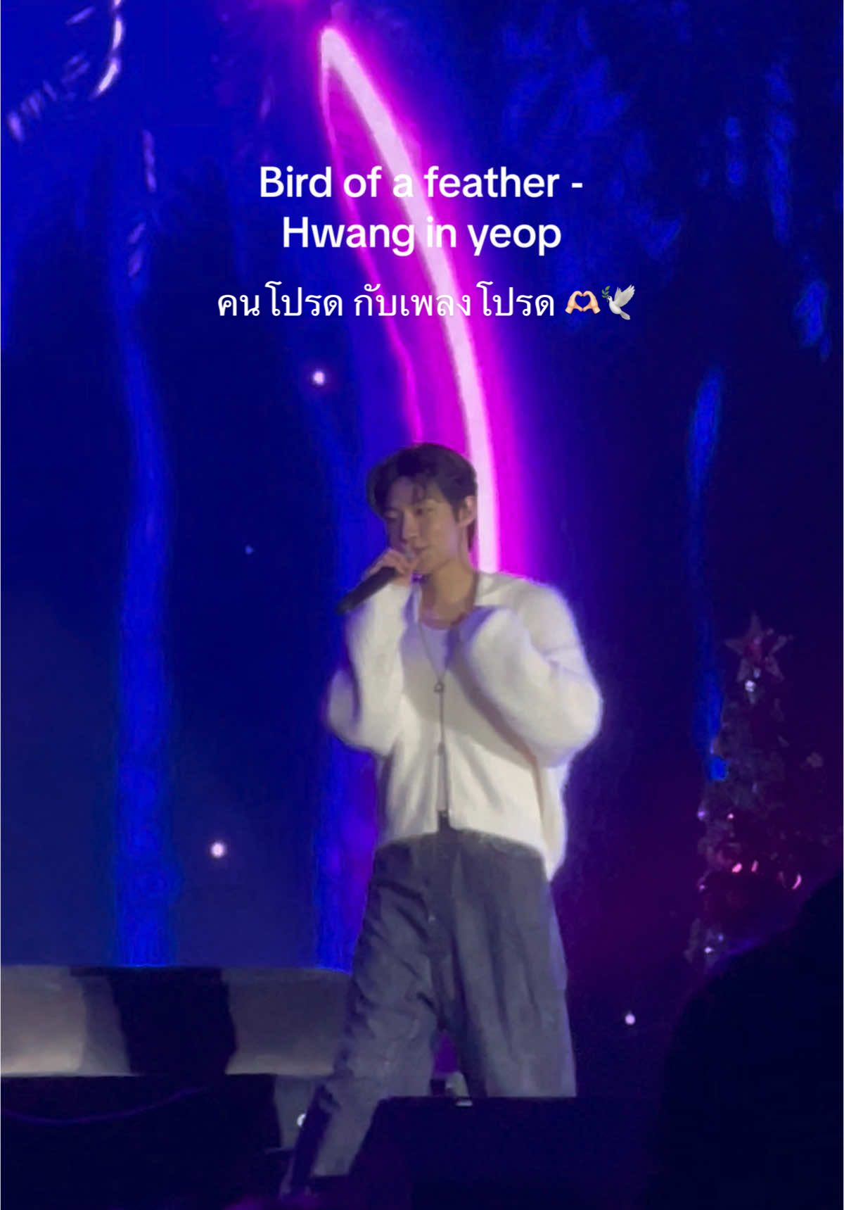 Bird of a feather - Hwang in yeop 🤍🕊️ คนโปรดกับเพลงโปรดด  #ฮวังอินยอบ #HIY_IN_LOVE_BKK #hwanginyeop #IN_LOVE #황인엽 