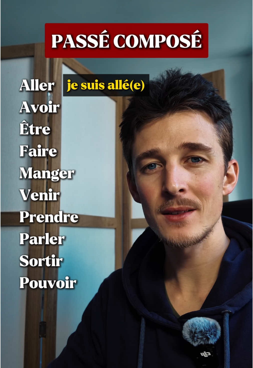 Apprenons quelques verbes au passé composé. #aprenderfrances #apprendrelefrançais #francesonline