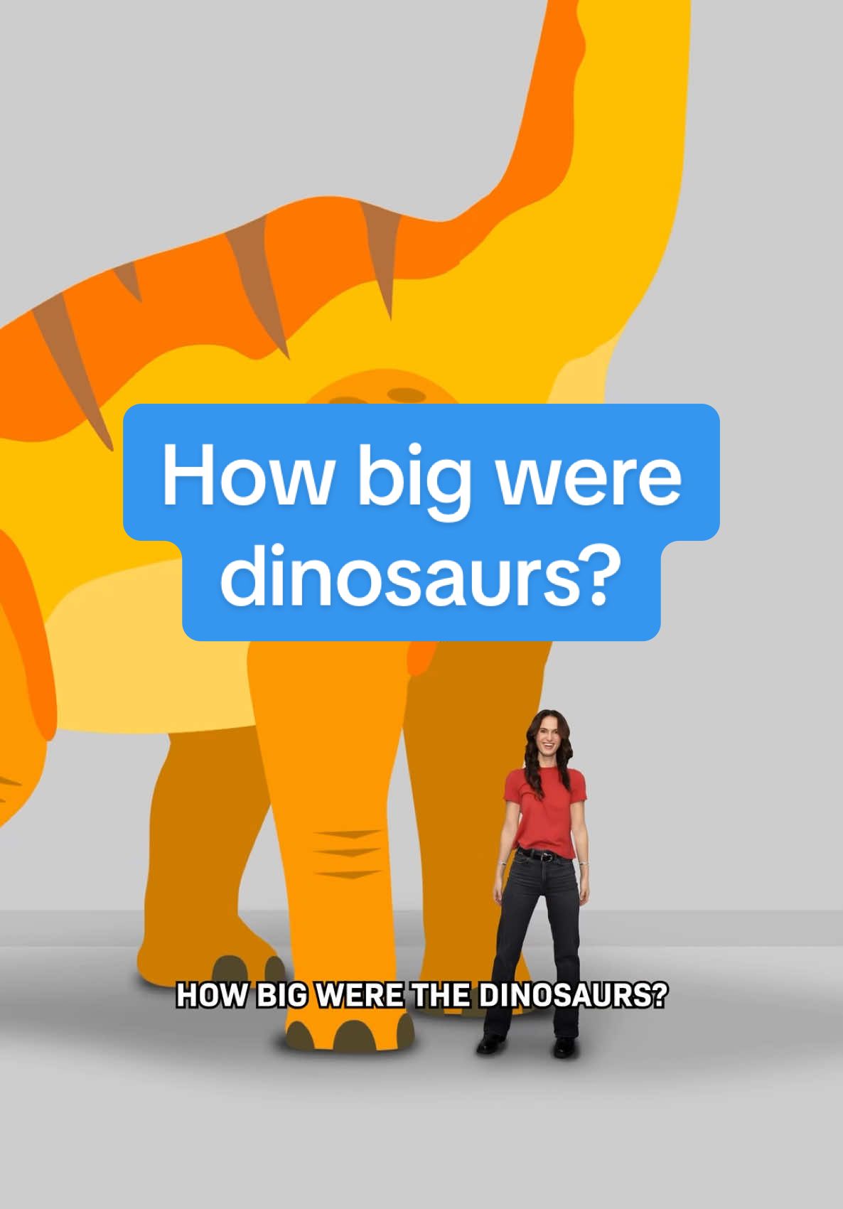 How big were dinosaurs really? Imagine you lined a bunch of them up by size… You’d see the tiny Anchiornis, the Compsognathus here, the famous velociraptor (smaller than I thought!), the Nyasasaurus, the Pachyrhinosaurus, the Triceratops, the Stegosaurus, the T-Rex! One of the largest known dinosaurs, the Argentinosaurus, was about as long and heavier than a commercial airplane... We made a longer video all about dinosaurs! Follow for optimistic science and tech stories. #animation #dinosaur #trex #science #stemfacts