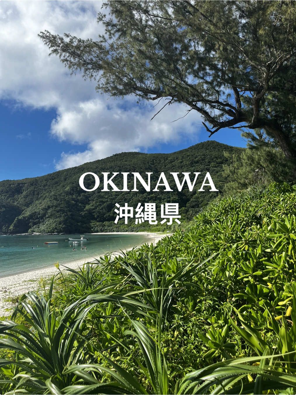 #okinawa #japan #fyp #japantravel #beaches #nature #keramaisland 