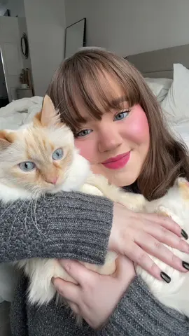 just a girl and her boy cat #cat #cats #catsoftiktok #munchkincat #kitty #justagirlandhercat #catslovers #catlover #orangecat #munchkin #munchkincats #flamepoint #flamepointcat #fyp #foryoupage 