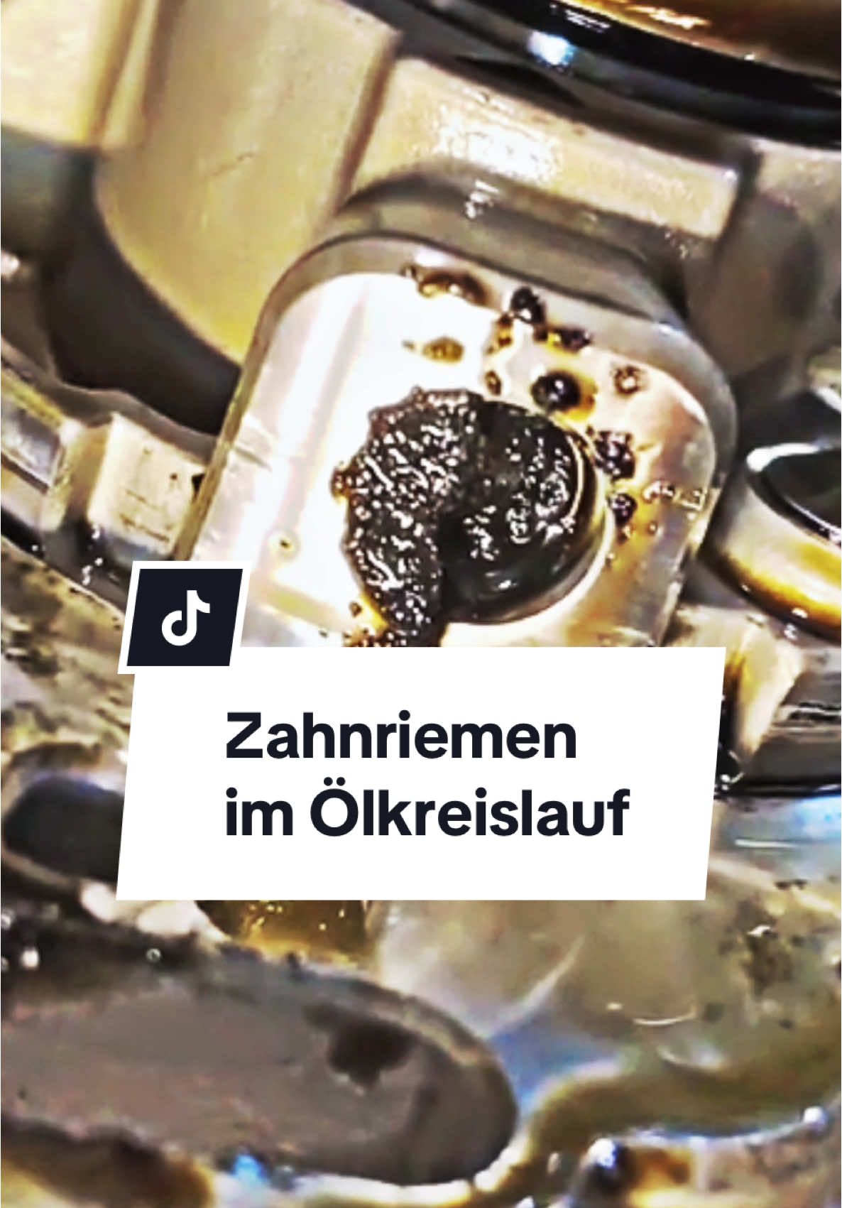 Die schlechtesten Motoren: Zahnriemen im Ölkreislauf! #zahnriemen#zahnriemenwechsel#motor#motoröl#mercedes#audi#bmw#ford#vw#tdi#ecoboost#fyp#viral#schlecht 