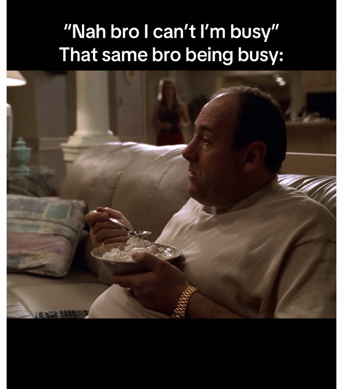 #meme #thesopranos #tonysoprano #tvshow #based 