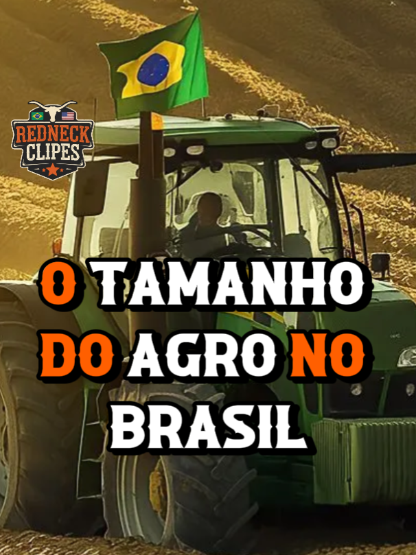 O tamanho do AGRO no BRASIL e sua importância no MUNDO! #agro #fazenda #cortes