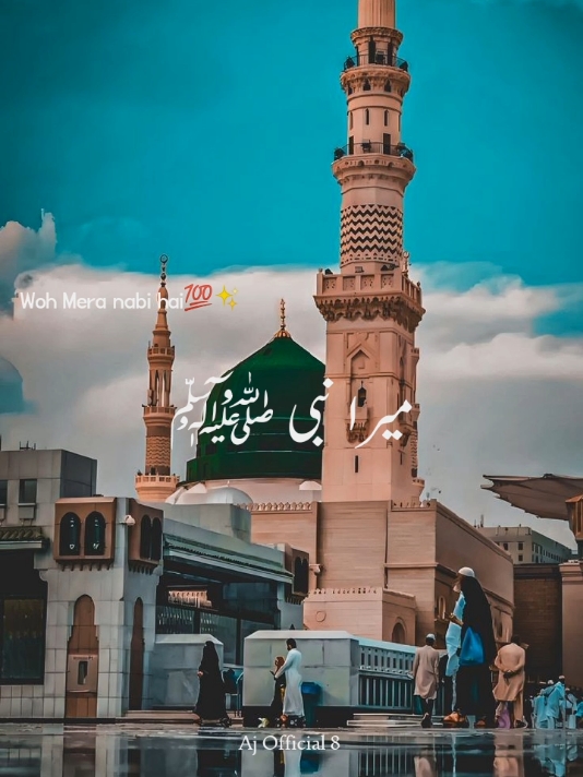 Wo mera nabi hai 💯✨ #allaha #islamic #islamic_video #naatsharif #viralvideo #fypシ゚viral #dontunderreviewmyvideo #unfrezzmyaccount #foryoupage #trending