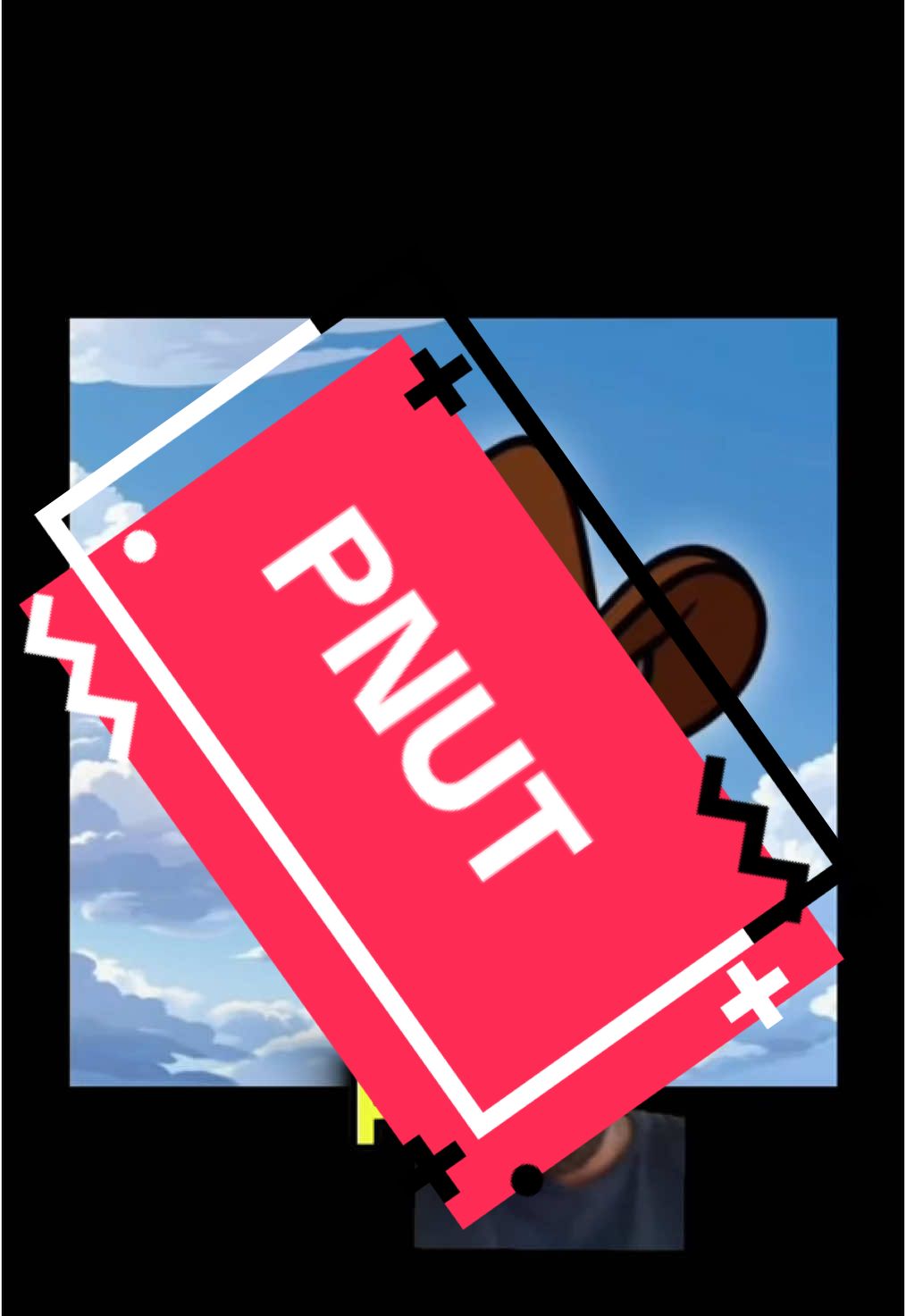 PNUT 🐿️#bitcoin #cripto #criptomonedas #dogecoin #ethereum #trading #pnut 