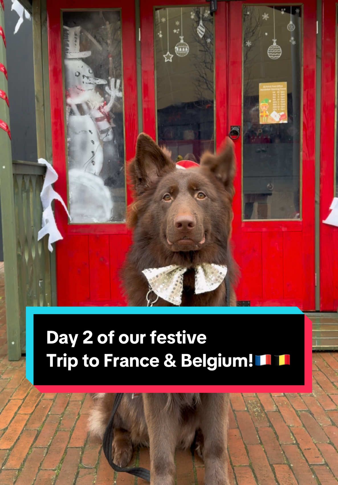 Day 2 of our Festive travels fo 🇫🇷France & Belgium!🇧🇪  @Ashford Designer Outlet   @TravelodgeUK  @Paw Prints & Co  #france #belgium #boulognesurmer #boulogne #france🇫🇷 #travel #europetravel #traveltiktok #dogtravel #dogfluencer #gsd #gsdnation #germanshepherd #dogfluencer #pupfluencer #darlagsd #livergsd #livergermanshepherd #christmas #xmas2024 #festive #dogfriendly #dogfriendlytravel #ashford #ashforddesigneroutlet #ashfordoutlet #kent #puppy #puppylove #gsdpuppy 