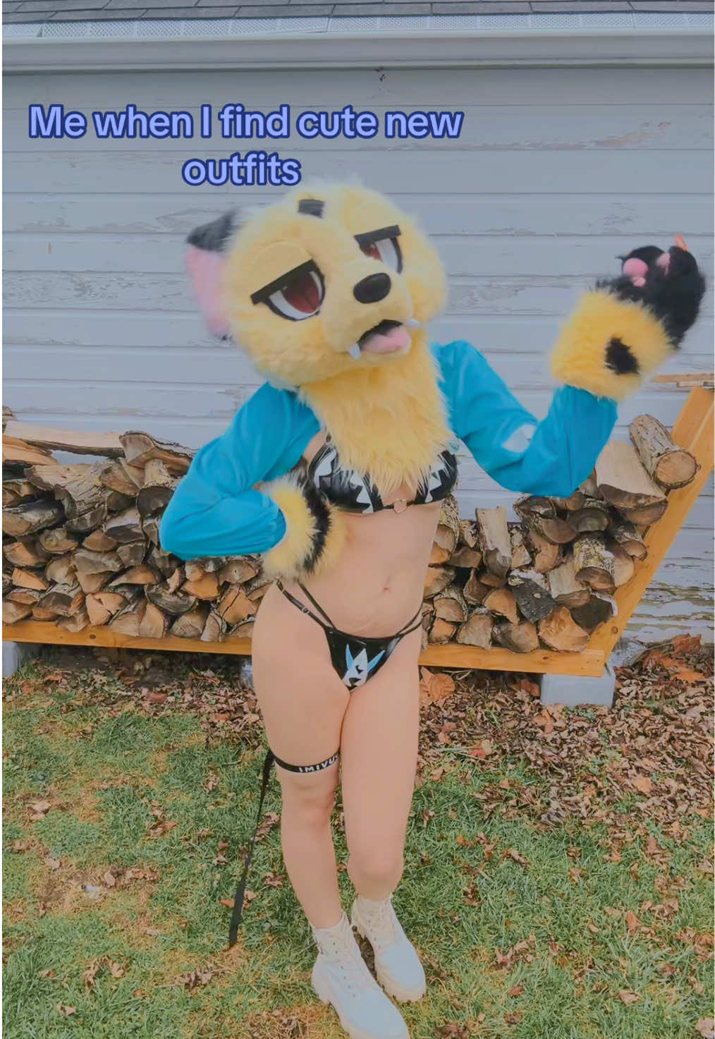 On a real note it was cold outside 🩵🦈|| #furry #FurryFandom #furries #fypシ #Foryou #xyzbca #customersmostloved #kirara #inuyasha #foxsona #egirl #anime #jinx #jinxcosplay #arcane  