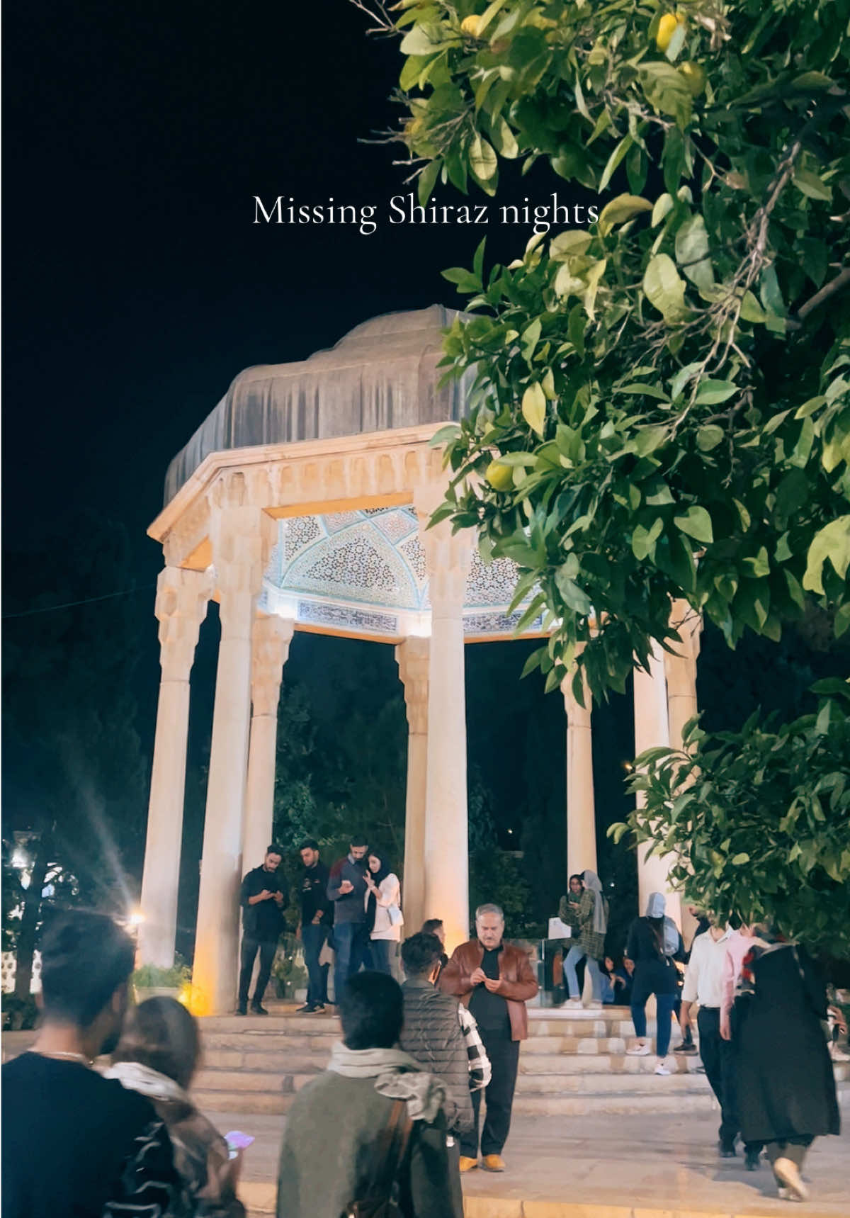 Missing Shiraz nights ❤️🕊️💚 Hopefully I will return soon 🙏 #shiraz #iran #shirazi #hafez #persian #persiantiktok #persian #iranian #fars #irani #travel #traveltiktok 