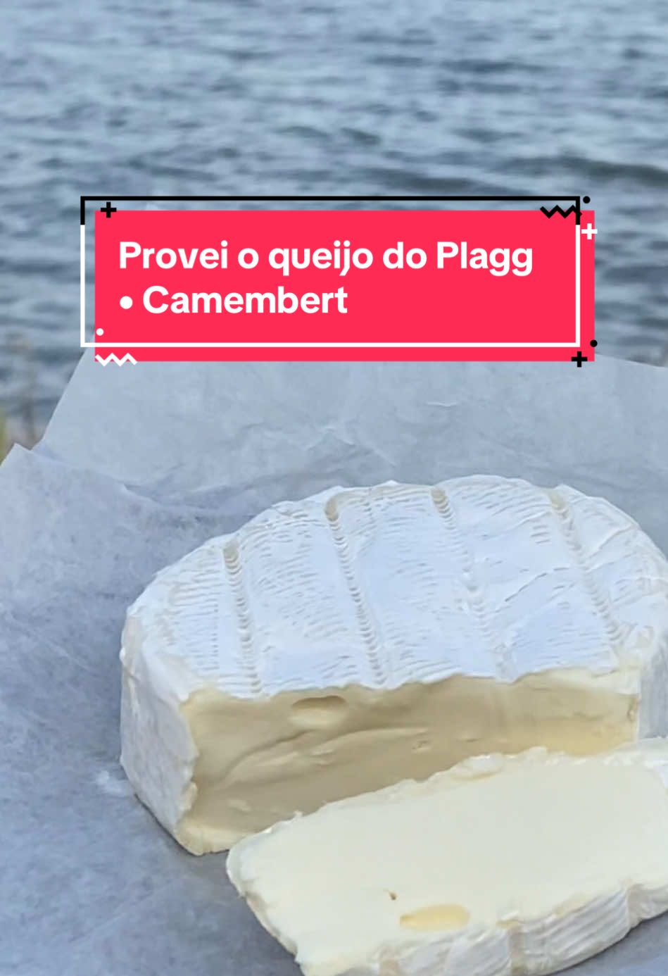 Respondendo a @Mouse Noar          🐞 #queijocamembert #plagg #kwamismiraculous #miraculousladybug #ladybug #miraculous #plaggkwami #camembertcheese 
