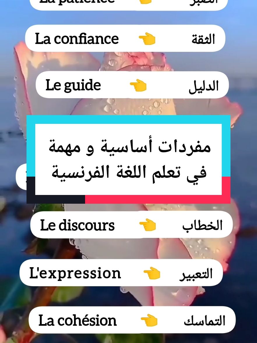 مفردات أساسية و مهمة في تعلم اللغة الفرنسية  الصبر la patience  la confiance الثقة الدليل le guide  le devoir الواجب الصيانة l'entretien  l'expression التعبير التعبير#الشعب_الصيني_ماله_حل😂😂 #فرنسا🇨🇵_بلجيكا🇧🇪_المانيا🇩🇪_اسبانيا🇪🇸 #canada_life🇨🇦 #tik_tok #tiktok_india 