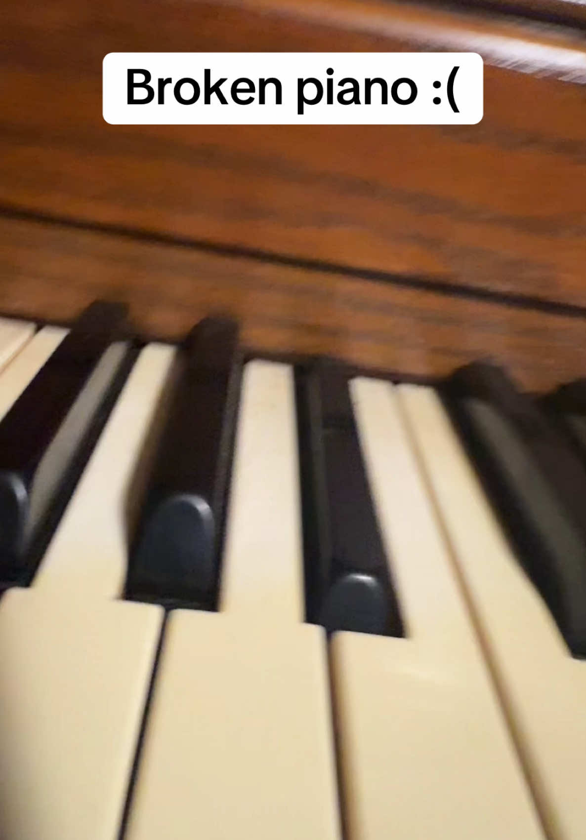 Having a broken piano sucks ———————————————— I don’t know how it got like this, it was perfectly fine a few weeks ago. #piano #pianotok