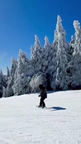 Gettin away #fyp #foryou #foryoupage #christmas #winter #snowboard 