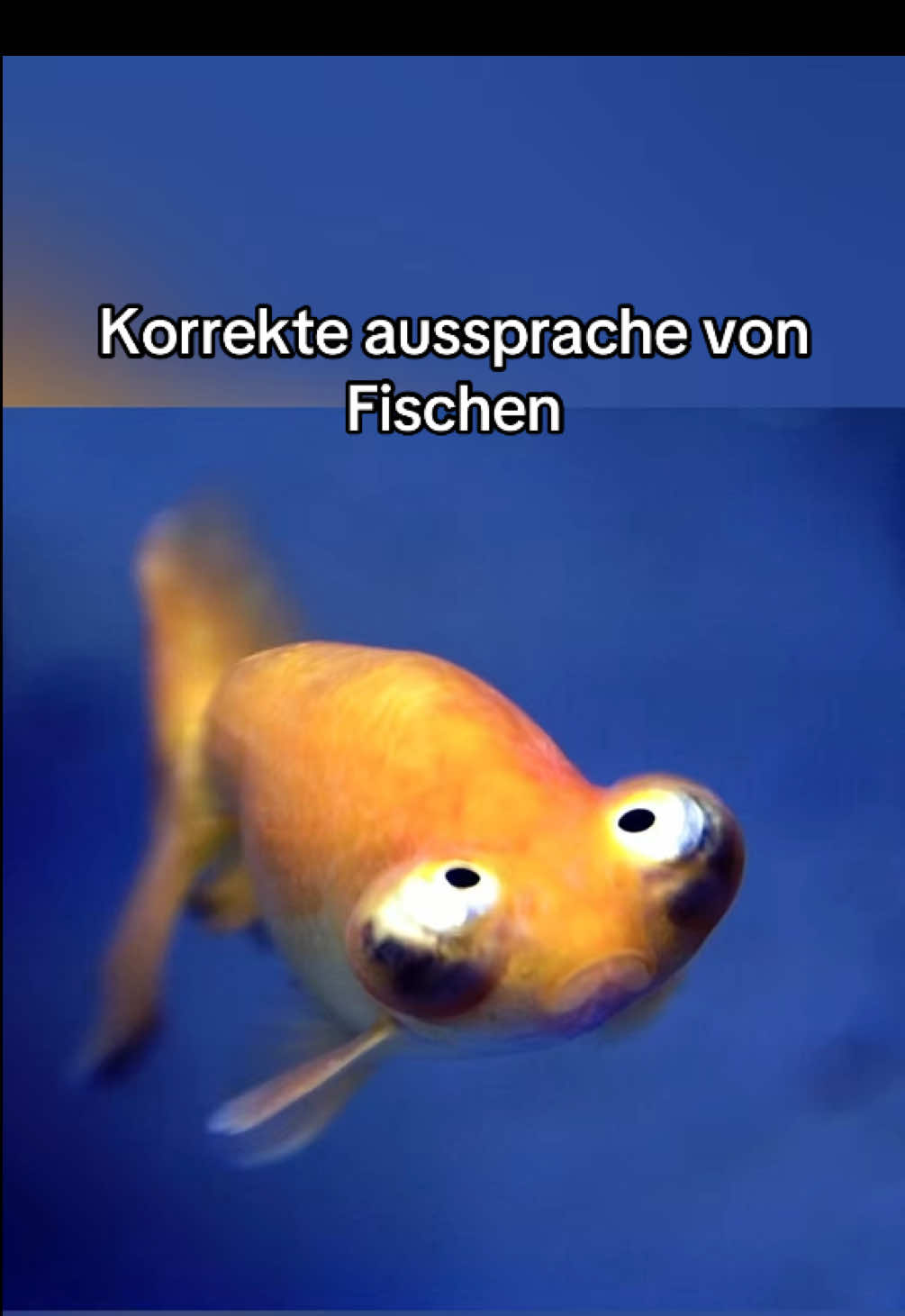 Korrekte aussprache von Fischen #korrekte #aussprache #fisch #fyp 