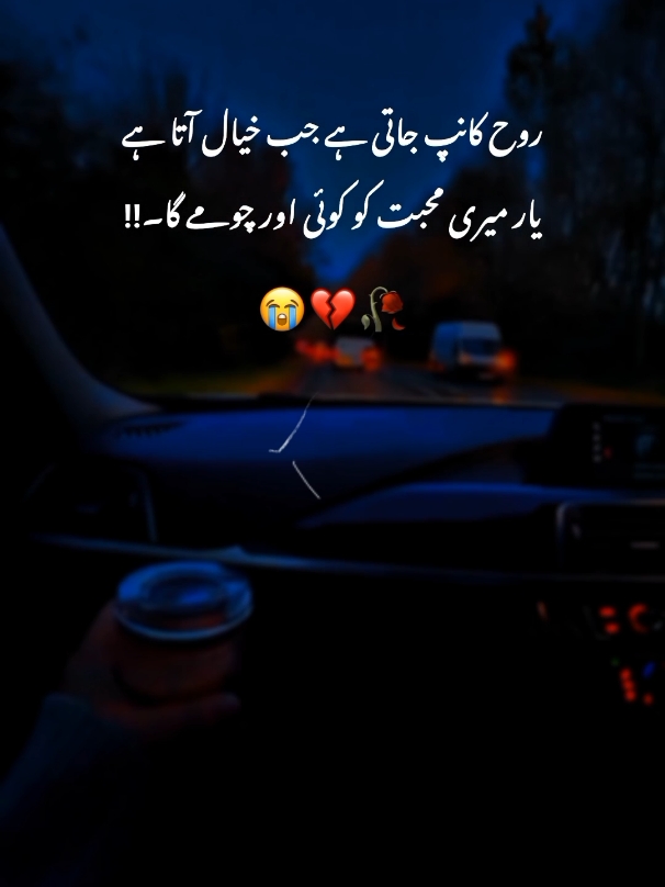 no caption 💔🥀 #creatorsearchinsights #foryou  #foryoupage #urdu_poetry  #fypシ #virall #fypジ #viral #unfreezemyacount #fyp #foryoupagee #urdupoetry #statuspoetry #sadstatus💔🥀 #trending #growmyaccount #asthetic #unfreezemyacount #100k #fam #decemberpoetry #💔 #❤️‍ #creatorsearchinsights #foru #sadd #statusvideo #explore #shayaristatus #reposting @TikTok @TiktokPakistanOfficial @tiktok creators @tiktokglobal @TikTok UK 