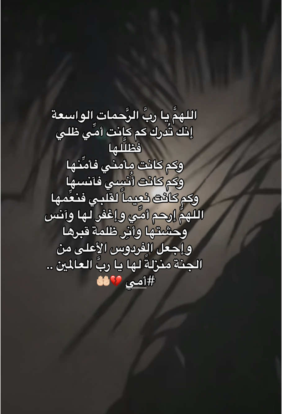 واجعل قبر أمي فواحًا برائحة الجنّة  ‏واسعًا بالرحمة والغفران يالله..🤲🏻🥲😞 #اللهم_ارحم_امي #أمي #امي #رحمه_الله_روحاً_لا_تنسىٰ_ولا_تعوض💔💔 #سنة_من_وفاة_امي #امي_رحمها_الله #جنة_الفردوس #انالله_وانااليه_راجعون #جنة_الفردوس_مثواها #اشتقت_لكي_أمي💔😥 #شعور_الفقد #فقد_الام #دعاء_لامي_المتوفية #فقيدتي_امي_افتقدك💔 #رحمك_الله_يا_فقيد_قلبي😭 #موتانا #فاقده_امي ##يوم_الجمعه_خيرا_من_كل_يوم 🤲🏻