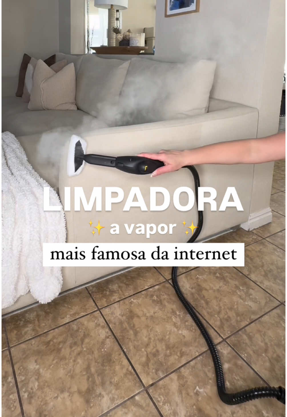 Limpadora a vapor mais famosa da internet ✨ #vaporizador #limpeza #casalimpa #limpadoraavapor 