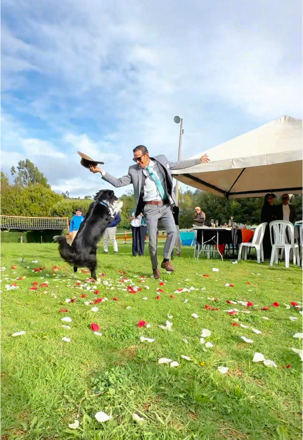 Matrimonio también @Jessi Uribe y @HEREDERO #coqueta 🎼 con mi perrita bailarina 🐶🎼❤️ . . #carranga #diciembre #baile #dogdancing #dog #jairopinillap